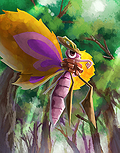Maple Rai