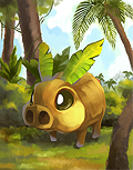 Palm Pig