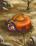 Koku