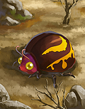 Kokoru