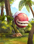 Nepenthes